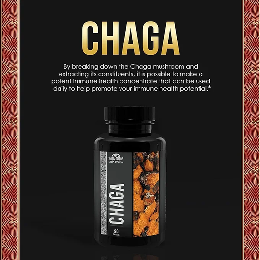 Vida Divina Chaga Dietary Supplement 90 Capsules