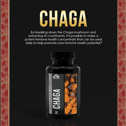 Vida Divina Chaga Dietary Supplement 90 Capsules