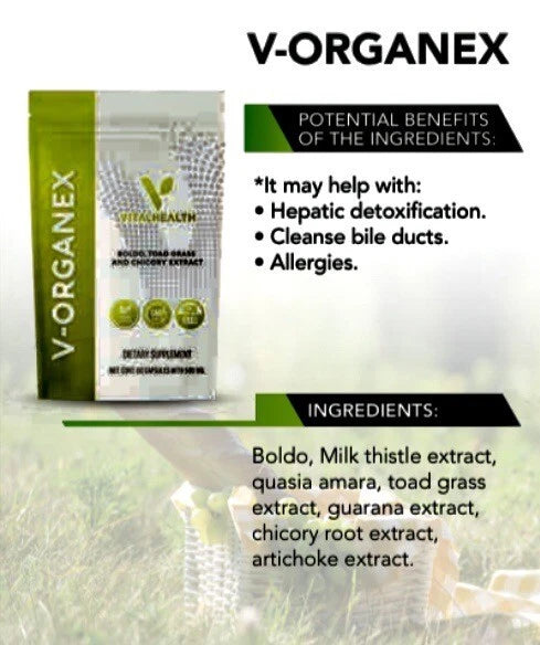 Vital Health V-Organex 60 Capules, Immune & Liver Support Fast Shipping